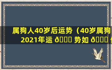 属狗人40岁后运势（40岁属狗2021年运 🐝 势如 🐕 何）